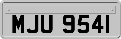 MJU9541