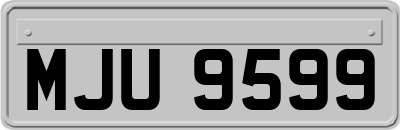 MJU9599
