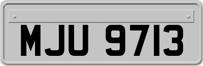 MJU9713