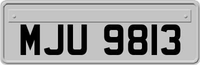 MJU9813