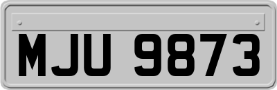 MJU9873