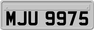 MJU9975