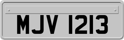 MJV1213