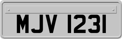 MJV1231