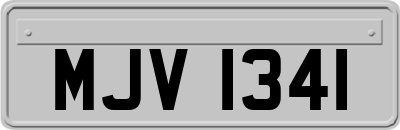 MJV1341