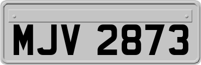 MJV2873