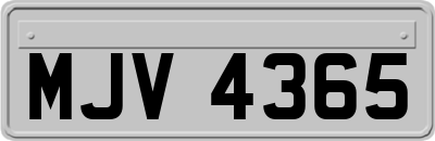 MJV4365