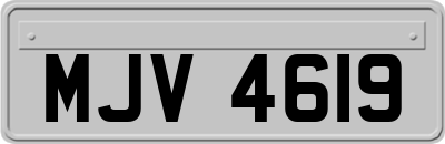 MJV4619