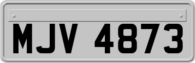 MJV4873