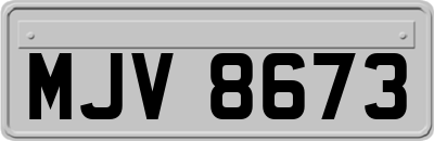 MJV8673