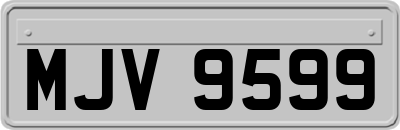MJV9599
