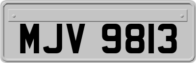 MJV9813