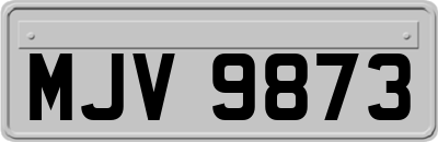 MJV9873