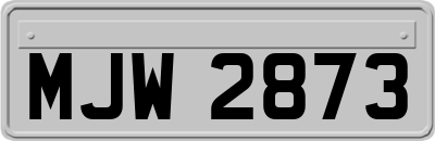 MJW2873