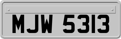 MJW5313