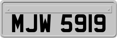 MJW5919