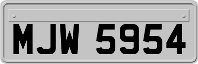 MJW5954