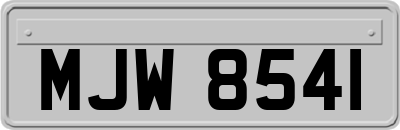 MJW8541