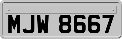 MJW8667