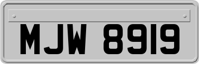 MJW8919