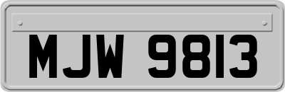 MJW9813