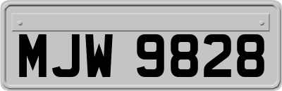 MJW9828
