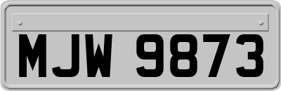 MJW9873