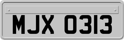 MJX0313