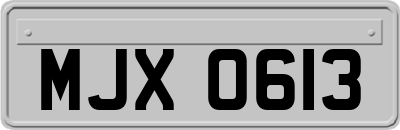 MJX0613