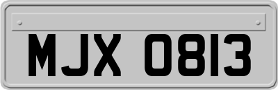 MJX0813