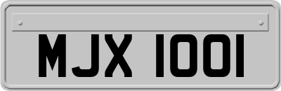 MJX1001