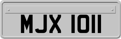 MJX1011