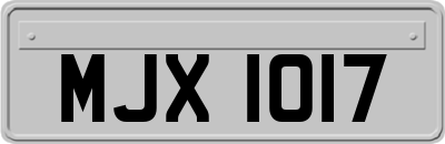 MJX1017