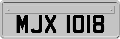 MJX1018