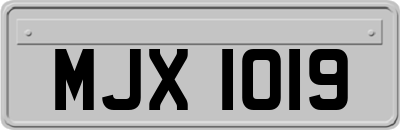 MJX1019