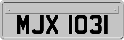 MJX1031