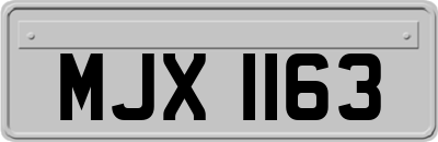 MJX1163