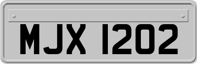 MJX1202