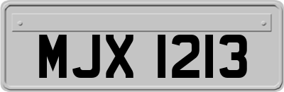 MJX1213