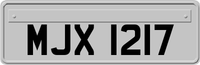 MJX1217