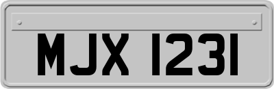 MJX1231