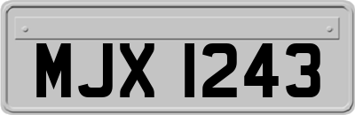 MJX1243