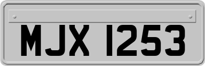 MJX1253
