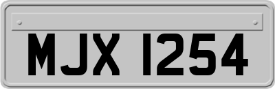 MJX1254