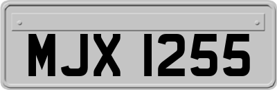 MJX1255