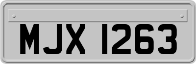 MJX1263