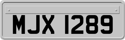 MJX1289
