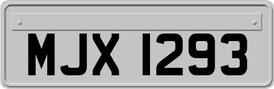 MJX1293
