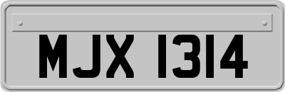 MJX1314