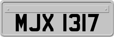 MJX1317